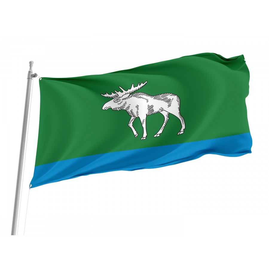 Flag Of Fyodorovsky Rayon, Patriotic Flags, Unique Design Print, Flags For Indoor & Outdoor Use - High Quality Russia for Indoor and Outdoor Use