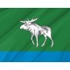 Flag of Fyodorovsky Rayon, Patriotic Flags, Unique Design Print, Flags for Indoor & Outdoor Use - Imagine 2