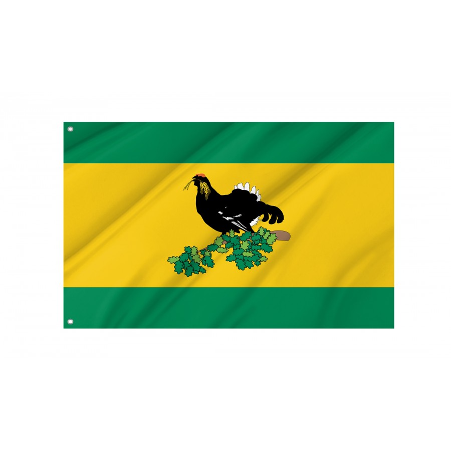 Flag Of Kaltasinsky Rayon, Unique Design Print, Flags For Indoor & Outdoor Use - High Quality Russia for Indoor and Outdoor Use