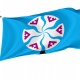 Flag of Kolguevsky Selsovet, Unique Design Print, Flags for Indoor & Outdoor Use - Imagine 1