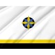 Flag of Kovdorsky Rayon, Unique Design Print, Flags for Indoor & Outdoor Use - Imagine 2