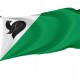 Flag of Megion, Unique Design Print, Flags for Indoor & Outdoor Use - Imagine 1