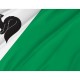 Flag of Megion, Unique Design Print, Flags for Indoor & Outdoor Use - Imagine 2