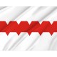 Flag of Omsk, Patriotic Flags, Unique Design Print, Flags for Indoor & Outdoor Use - Imagine 2