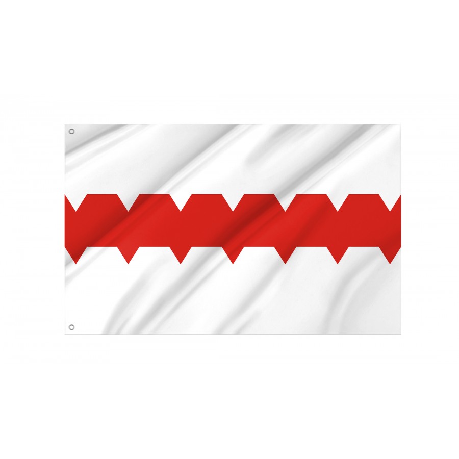 Flag Of Omsk, Patriotic Flags, Unique Design Print, Flags For Indoor & Outdoor Use - High Quality Russia for Indoor and Outdoor Use