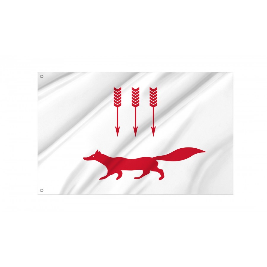 Flag Of Saransk, Patriotic Flags, Unique Design Print, Flags For Indoor & Outdoor Use - High Quality Russia for Indoor and Outdoor Use