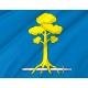 Flag of Sertolovo, Patriotic Flags, Unique Design Print, Flags for Indoor & Outdoor Use - Imagine 2