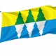 Flag of Shaburskoe, Patriotic Flags, Unique Design Print, Flags for Indoor & Outdoor Use - Imagine 1