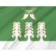 Flag of Sharansky Rayon, Patriotic Flags, Unique Design Print, Flags for Indoor & Outdoor Use - Imagine 2