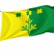 Flag of Shemurshinsky District, Patriotic Flags, Unique Design Print, Flags for Indoor & Outdoor Use - Imagine 1