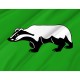 Flag of Shenkursky Rayon, Patriotic Flags, Unique Design Print, Flags for Indoor & Outdoor Use - Imagine 2