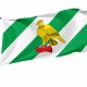 Flag of Sokolniki Municipal Okrug, Patriotic Flags, Unique Design Print, Flags for Indoor & Outdoor Use - Imagine 1