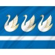 Flag of Sterlitamak, Patriotic Flags, Unique Design Print, Flags for Indoor & Outdoor Use - Imagine 2