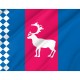 Flag of Tazovsky Rayon, Patriotic Flags, Unique Design Print, Flags for Indoor & Outdoor Use - Imagine 2