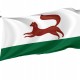 Flag of Ufa City, Patriotic Flags, Unique Design Print, Flags for Indoor & Outdoor Use - Imagine 1
