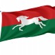 Flag of Ufimsky, Patriotic Flags, Unique Design Print, Flags for Indoor & Outdoor Use - Imagine 1