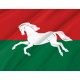 Flag of Ufimsky, Patriotic Flags, Unique Design Print, Flags for Indoor & Outdoor Use - Imagine 2