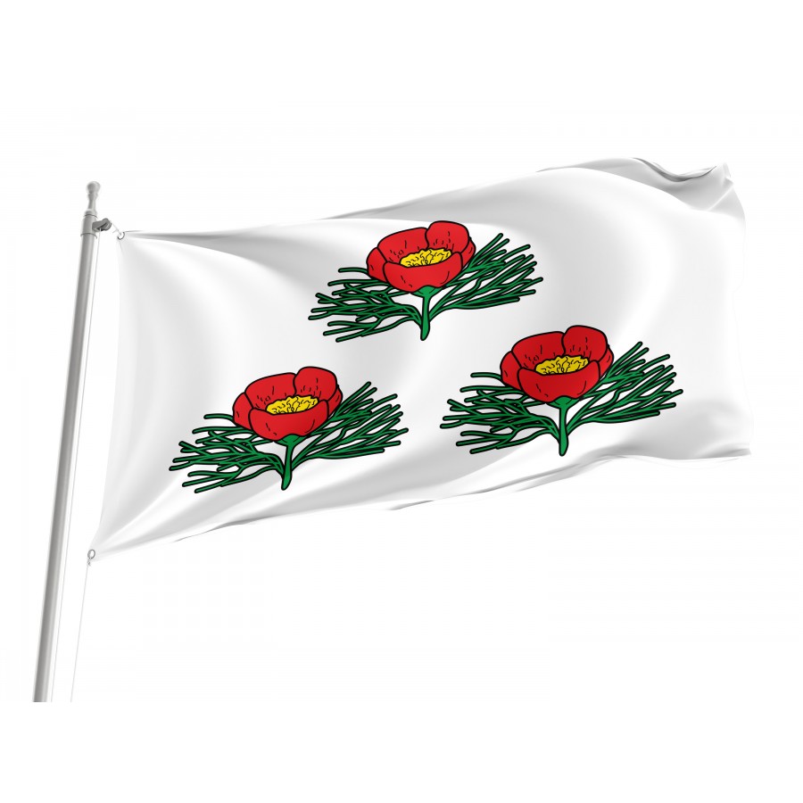 Flag Of Veydelevsky Region, Patriotic Flags, Unique Design Print, Flags For Indoor & Outdoor Use - High Quality Russia for Indoor and Outdoor Use