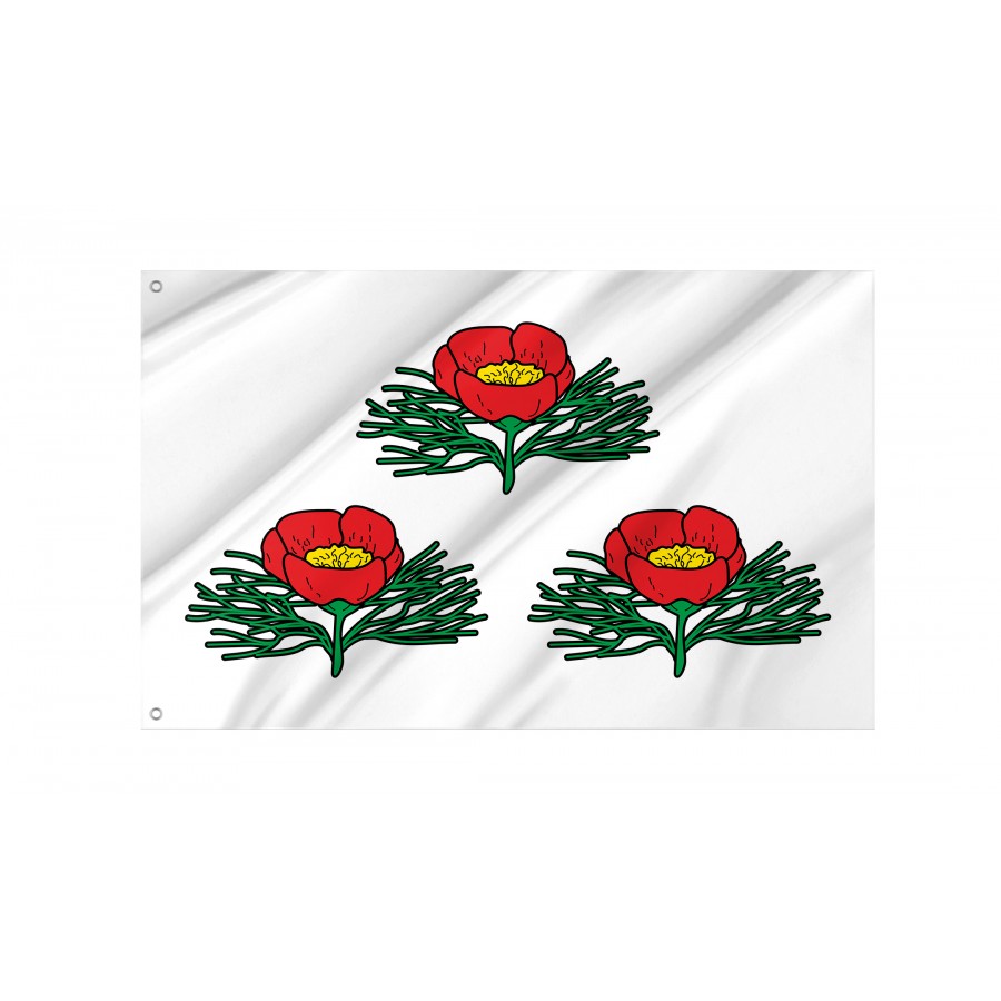 Flag Of Veydelevsky Region, Patriotic Flags, Unique Design Print, Flags For Indoor & Outdoor Use - High Quality Russia for Indoor and Outdoor Use