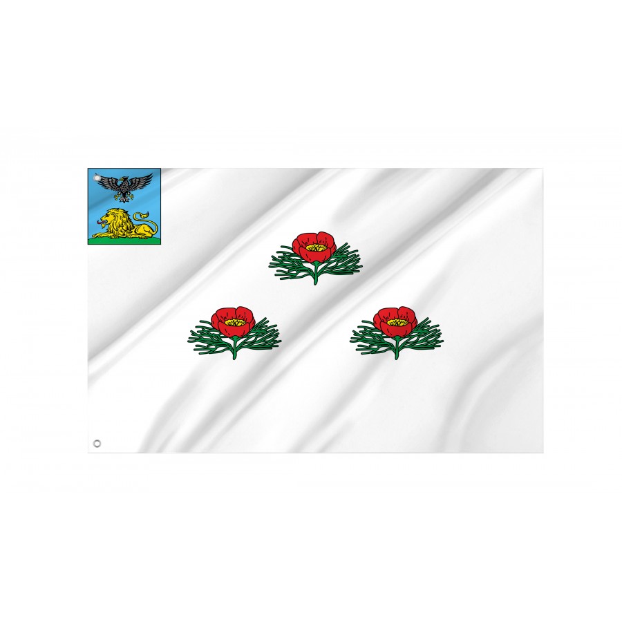 Flag Of Veydelevsky, Patriotic Flags, Unique Design Print, Flags For Indoor & Outdoor Use - High Quality Russia for Indoor and Outdoor Use