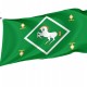 Flag of Yanaulsky Region, Patriotic Flags, Unique Design Print, Flags for Indoor & Outdoor Use - Imagine 1