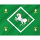 Flag of Yanaulsky Region, Patriotic Flags, Unique Design Print, Flags for Indoor & Outdoor Use - Imagine 2