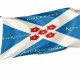 Flag of Scottish Covenanters, Patriotic Flags, Unique Design Print, Flags for Indoor & Outdoor Use - Imagine 1