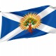 Flag of Church of Scotland, Unique Design Print, Flags for Indoor & Outdoor Use - Imagine 1