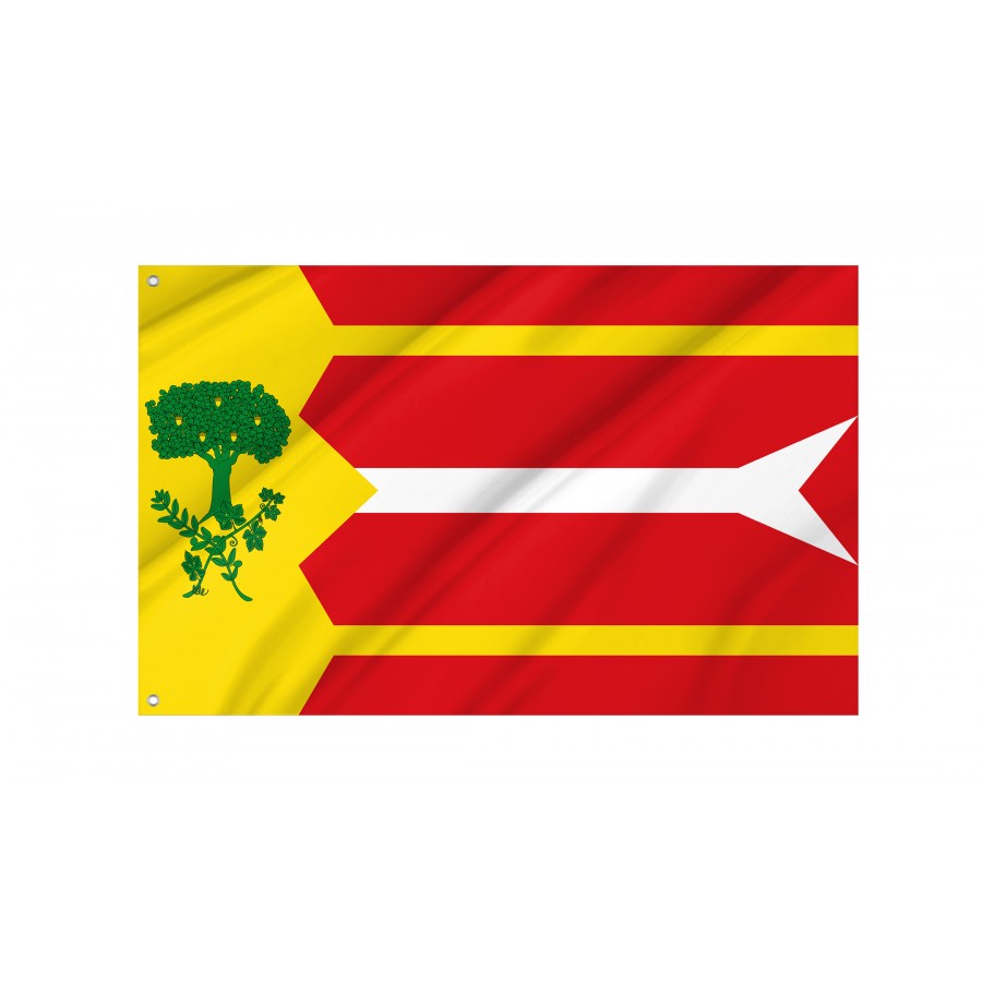 Flag Of Alpartir, Zaragoza, Patriotic Flags, Unique Design Print, Flags For Indoor & Outdoor Use - High Quality Aragon for Indoor and Outdoor Use