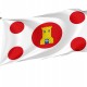 Flag of Aniñón, Zaragoza, Patriotic Flags, Unique Design Print, Flags for Indoor & Outdoor Use - Imagine 1