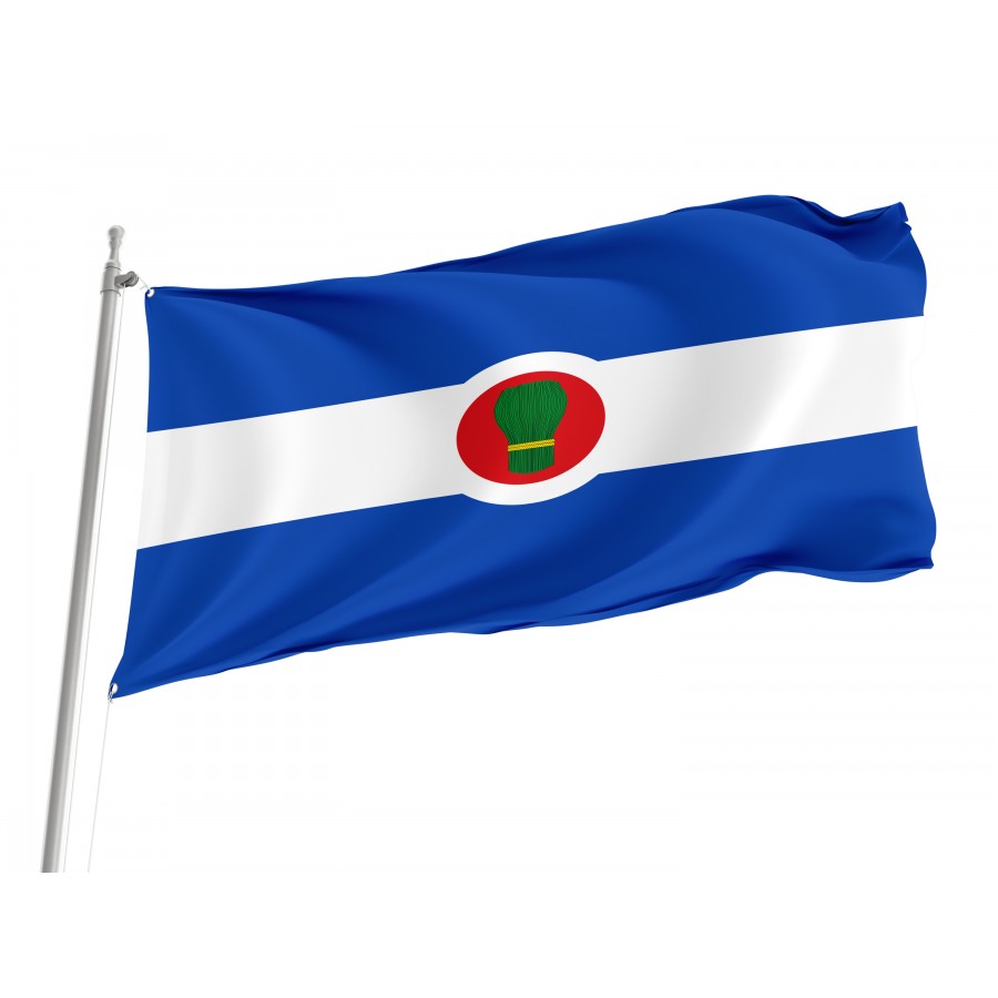 Flag Of Bagüés, Zaragoza, Patriotic Flags, Unique Design Print, Flags For Indoor & Outdoor Use - High Quality Aragon for Indoor and Outdoor Use