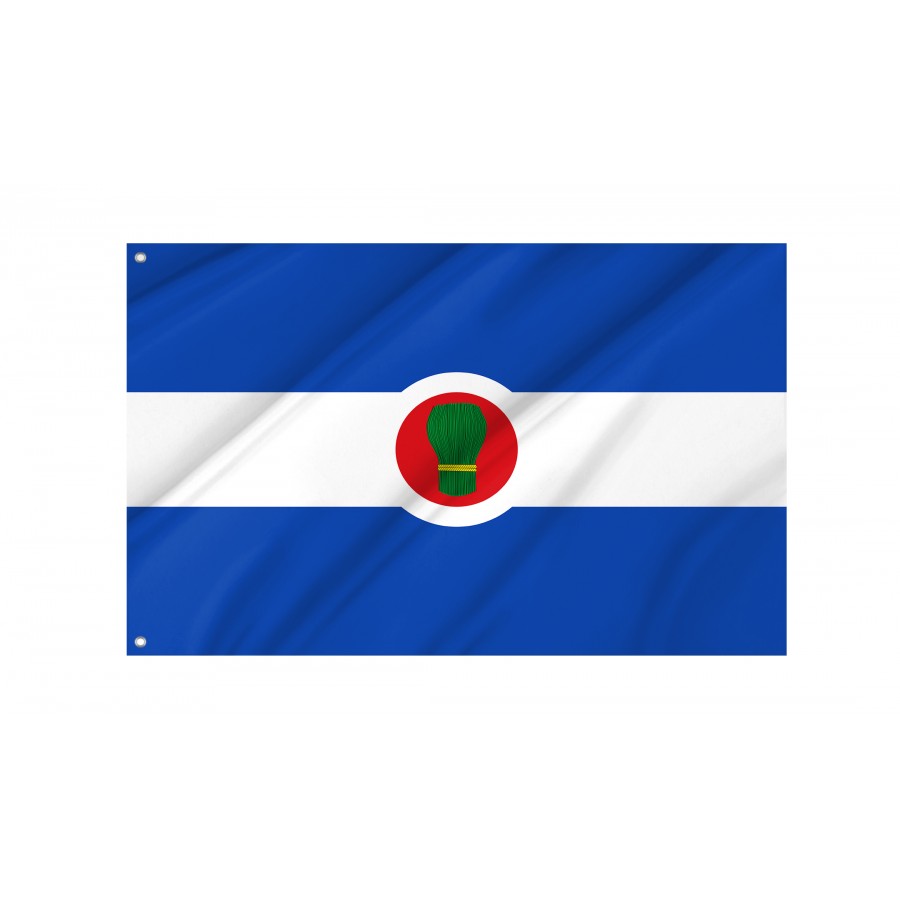 Flag Of Bagüés, Zaragoza, Patriotic Flags, Unique Design Print, Flags For Indoor & Outdoor Use - High Quality Aragon for Indoor and Outdoor Use