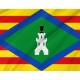 Flag of Castejón de Alarba, Zaragoza, Patriotic Flags, Unique Design Print, Flags for Indoor & Outdoor Use - Imagine 2
