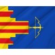 Flag of Castejón de las Armas, Zaragoza, Patriotic Flags, Unique Design Print, Flags for Indoor & Outdoor Use - Imagine 2