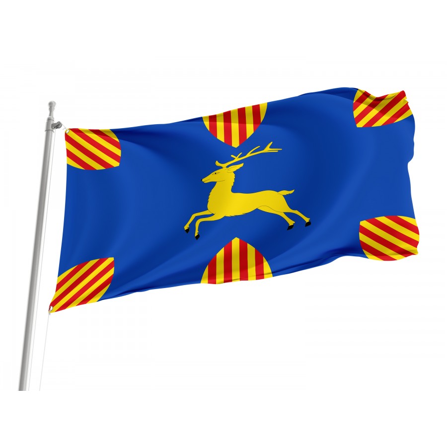 Flag Of Cerveruela, Zaragoza, Patriotic Flags, Unique Design Print, Flags For Indoor & Outdoor Use - High Quality Aragon for Indoor and Outdoor Use