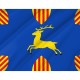 Flag of Cerveruela, Zaragoza, Patriotic Flags, Unique Design Print, Flags for Indoor & Outdoor Use - Imagine 2