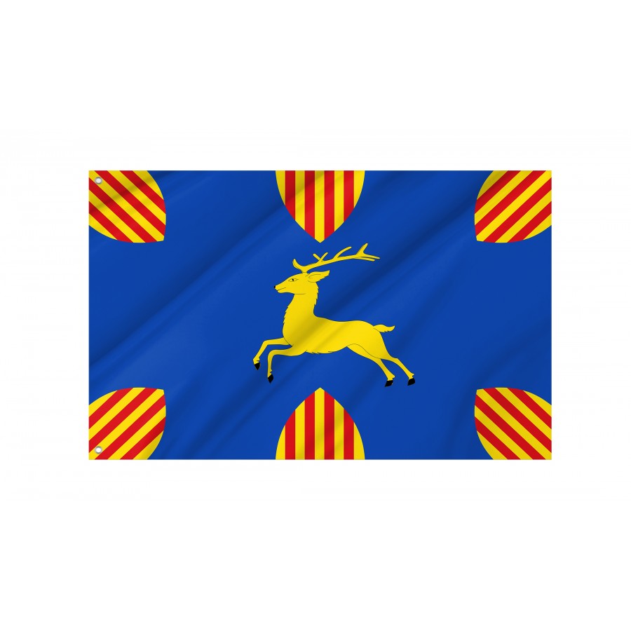 Flag Of Cerveruela, Zaragoza, Patriotic Flags, Unique Design Print, Flags For Indoor & Outdoor Use - High Quality Aragon for Indoor and Outdoor Use