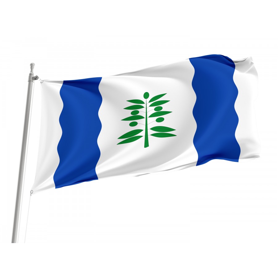 Flag Of Cinco Olivas, Zaragoza, Patriotic Flags, Unique Design Print, Flags For Indoor & Outdoor Use - High Quality Aragon for Indoor and Outdoor Use