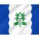 Flag of Cinco Olivas, Zaragoza, Patriotic Flags, Unique Design Print, Flags for Indoor & Outdoor Use - Imagine 2