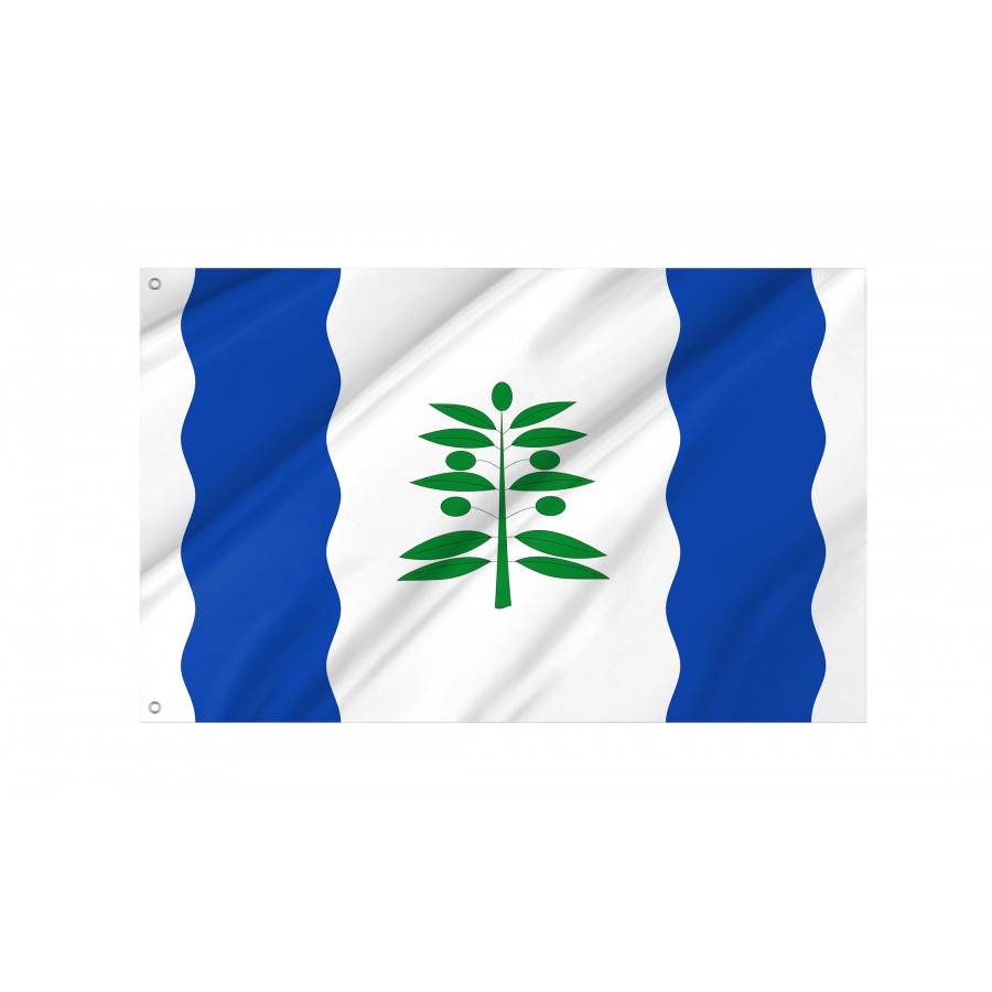 Flag Of Cinco Olivas, Zaragoza, Patriotic Flags, Unique Design Print, Flags For Indoor & Outdoor Use - High Quality Aragon for Indoor and Outdoor Use