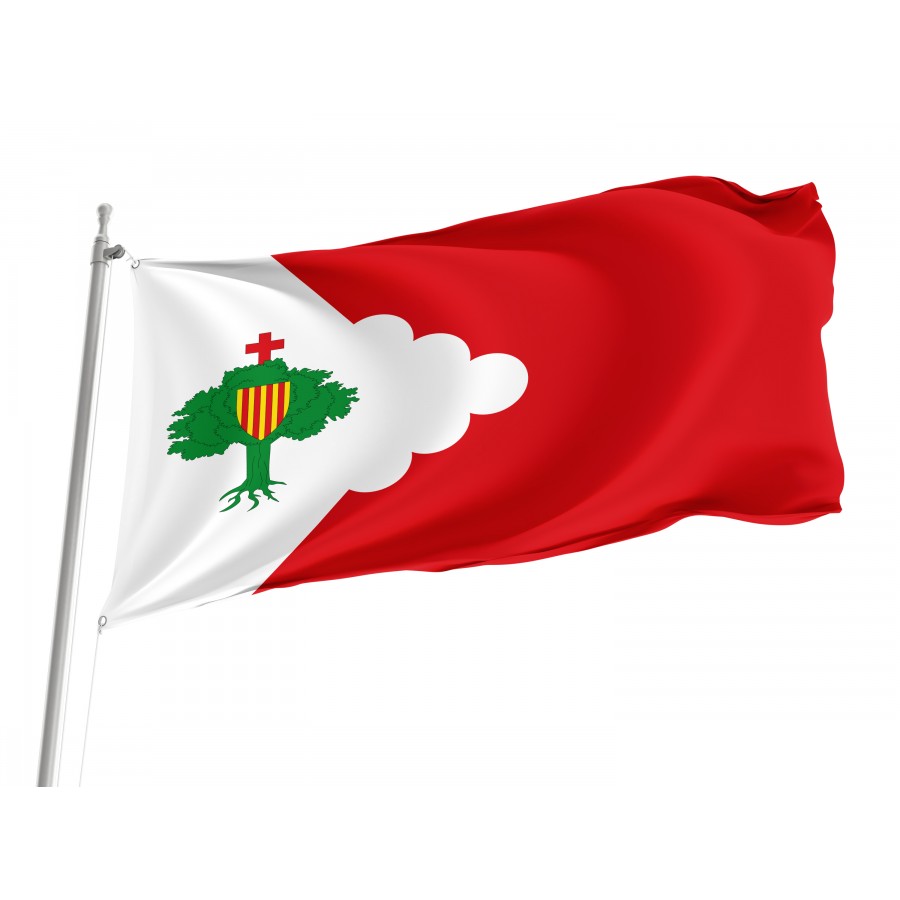 Flag Of Montón, Zaragoza, Spain, Patriotic Flags, Unique Design Print, Flags For Indoor & Outdoor Use - High Quality Aragon for Indoor and Outdoor Use