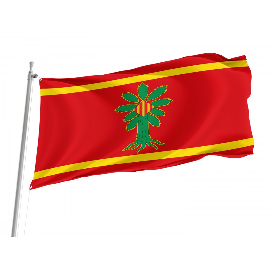 Flag Of Vistabella, Zaragoza, Spain, Patriotic Flags, Unique Design Print, Flags For Indoor & Outdoor Use - High Quality Aragon for Indoor and Outdoor Use
