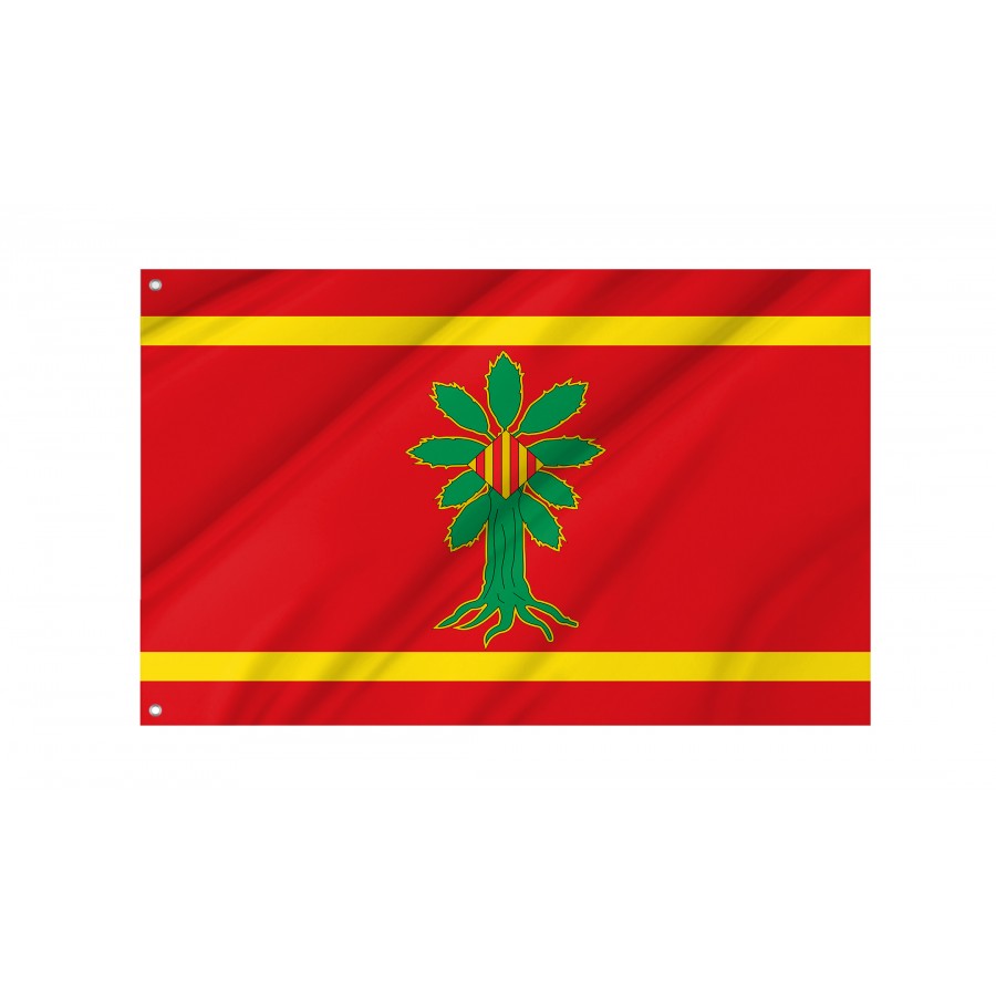 Flag Of Vistabella, Zaragoza, Spain, Patriotic Flags, Unique Design Print, Flags For Indoor & Outdoor Use - High Quality Aragon for Indoor and Outdoor Use