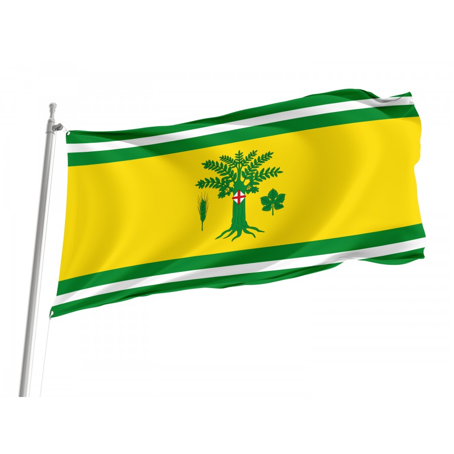Flag Of Grisel, Zaragoza, Patriotic Flags, Unique Design Print, Flags For Indoor & Outdoor Use - High Quality Aragon for Indoor and Outdoor Use
