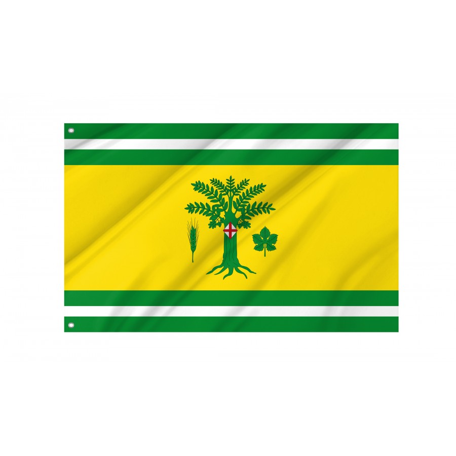 Flag Of Grisel, Zaragoza, Patriotic Flags, Unique Design Print, Flags For Indoor & Outdoor Use - High Quality Aragon for Indoor and Outdoor Use