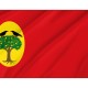 Flag of Leciñena, Zaragoza, Patriotic Flags, Unique Design Print, Flags for Indoor & Outdoor Use - Imagine 2