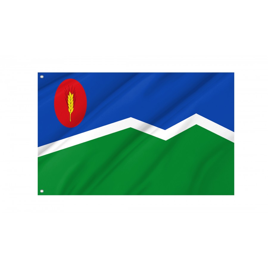 Flag Of Mediana De Aragón, Zaragoza, Patriotic Flags, Unique Design Print, Flags For Indoor & Outdoor Use - High Quality Aragon for Indoor and Outdoor Use