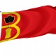 Flag of Torrelapaja, Zaragoza, Patriotic Flags, Unique Design Print, Flags for Indoor & Outdoor Use - Imagine 1