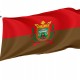 Flag of Burgos City, Patriotic Flags, Unique Design Print, Flags for Indoor & Outdoor Use - Imagine 1