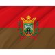 Flag of Burgos City, Patriotic Flags, Unique Design Print, Flags for Indoor & Outdoor Use - Imagine 2